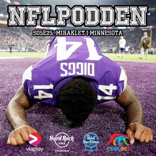 S05E25: Miraklet i Minnesota