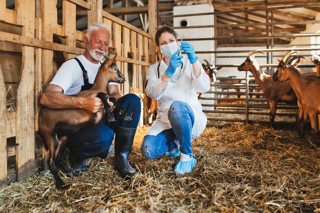 Audio Article: Goat Vaccinations and Injectables