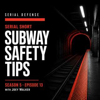 Serial Short: Subway Safety Tips