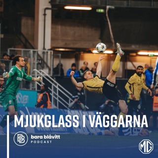 690. Mjukglass i väggarna