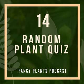 14. Random Plant Quiz
