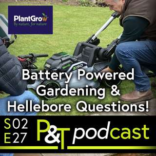 Battery Powered Gardening & Hellebore Questions Answered