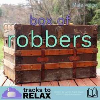 Bedtime Story - Box Of Robbers
