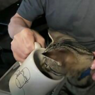 Episode 3085 - The Scott Adams School 02/02/26