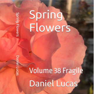 Spring Flowers Volume 38 Fragile by Daniel Lucas