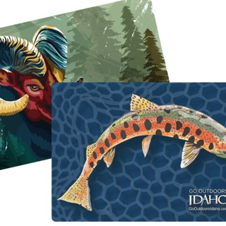 $1,000 on the line: IDFG holding statewide art contest