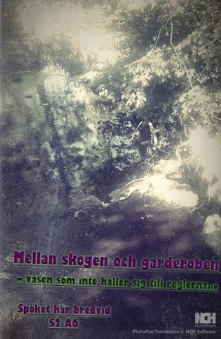 Mellan skogen och garderoben – väsen som inte håller sig till reglerna...