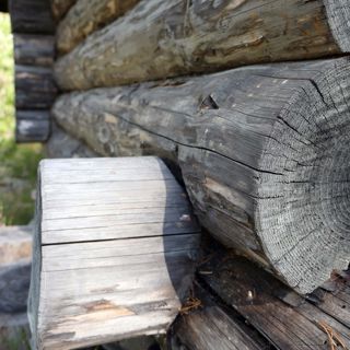 Skogsfredag, Avsnitt 26 - Halvårsresultat, Norrlands pärlor och en masse fokus