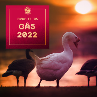 105. GÅS 2022