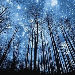Native American Myths and Legends: Apache and Navajo