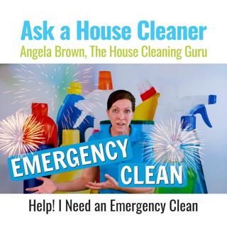 Emergency Clean (Airbnb, VRBO, STR) - Need a Pro House Cleaner Fast