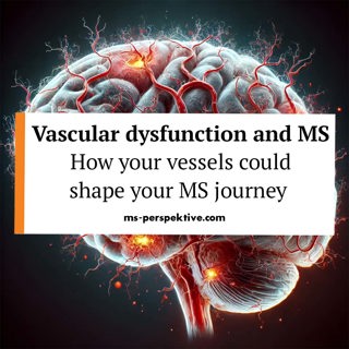 084: Vascular dysfunction and Multiple Sclerosis. How Your vessels Could Shape Your MS Journey with Dr. Jonathan Pansieri