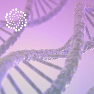 #30: Coherence, DNA, and the Quantum Field - How to Unlock Your Body’s Healing Frequency