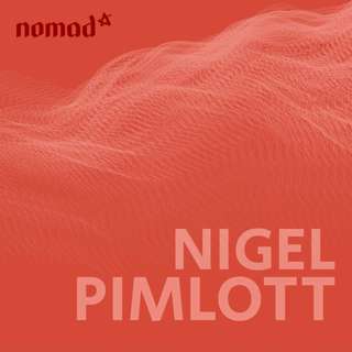 Nigel Pimlott - Youth Work in an Emerging Church (N26)