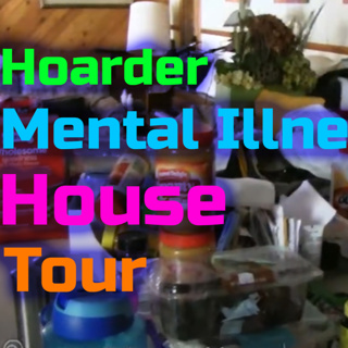 A Tour of the Inside of my House