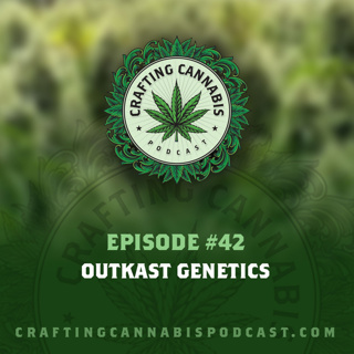 #42 - Outkast Genetics