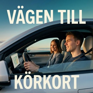 Grepp, däck & kontroll – så får du bilen att göra som du vill
