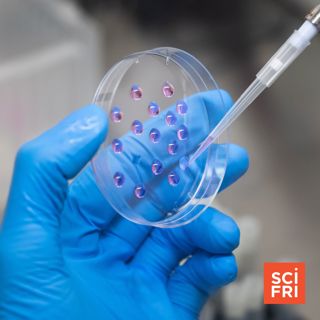 The new frontier of cancer research is in space
