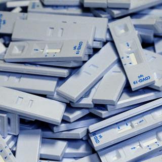 How Bad Could BA.2.86 Get?