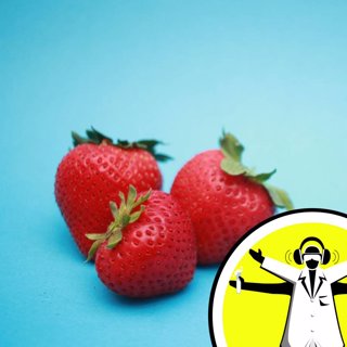 Senses Month: A Taste of Science