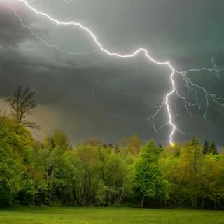 😴⛈️🎵 DEEP SLEEP Thanks to a Comforting THUNDERSTORM and Peaceful HARMONIES