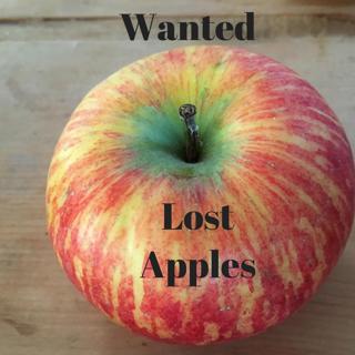 028: John Bunker | Apple Identification