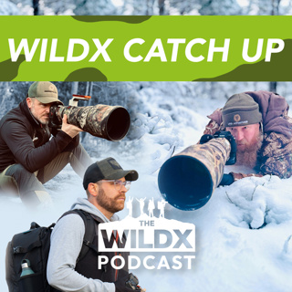 Episode 51 - A WILDX CATCH UP