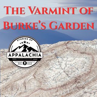 The Varmint of Burkes Garden