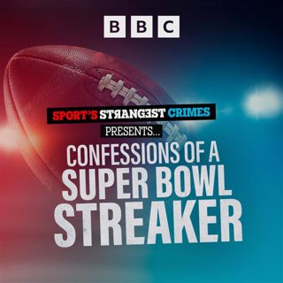Confessions of a Super Bowl Streaker: 6. The Fallout