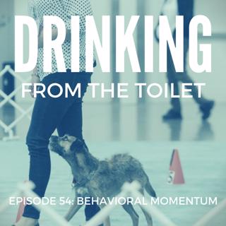 #54: Behavioral Momentum
