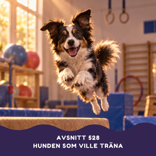 Hunden som ville träna