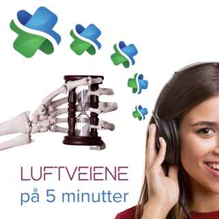 Luftveiene på 5 minutter