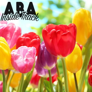 Episode 205 - Joy and the Big Four w/ Dr. Shahla Ala'i-Rosales