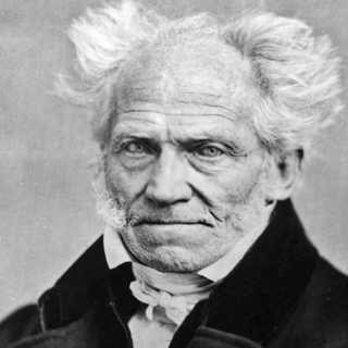 Schopenhauer, musiken och meningen