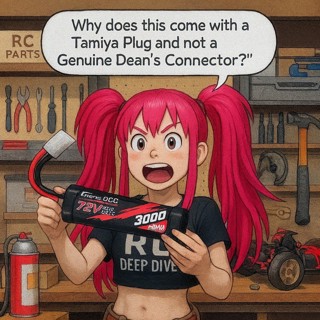 Why Do Gens Ace NiMh R/C Batteries Use Only Tamiya Plugs?