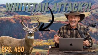 Ep. 450 When Deer Attack!!
