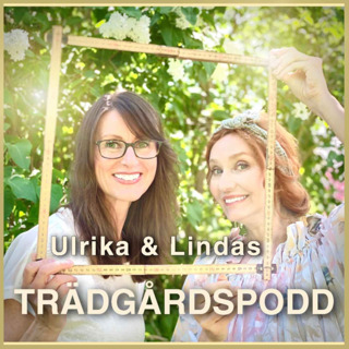 Avsnitt 28 - Skapa stilen del 1: Modern trädgård, och engelsk trädgård.