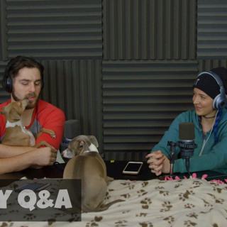 Podcast #71 - Holiday Q&A