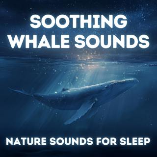 Soothing Whale Sounds - Nature Sounds for Deep Sleep