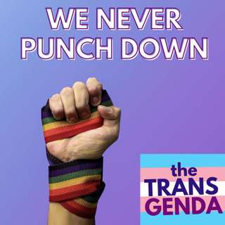 We Never Punch Down