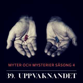 39. Uppvaknandet