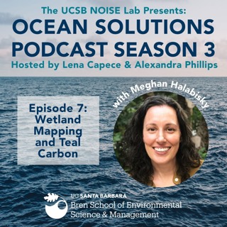 Season 3 Episode 7: Wetland Mapping and Teal Carbon with Meghan Halabisky