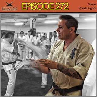 Episode 272 - Sensei David Hughes