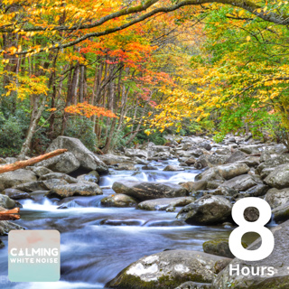 Rejuvenating Mountain Stream ( 8 Hours) | Water Sounds for Focus, Study, and Relaxation