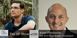 #106 Atrial Fibrillation with Professor David Brieger Cardiologist