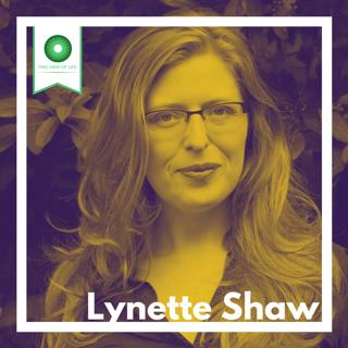 Lynette Shaw on Social Constructionism and Finding Academic Common Ground