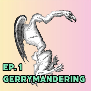 Gerrymandering