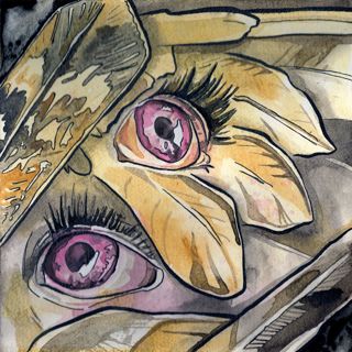 S24 Ep17: NoSleep Podcast S24E17