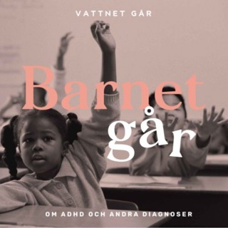 545. Barnet Går - Reyhaneh Ahangaran, "Så gör du om du misstänker att ditt barn har ADHD" (Repris)