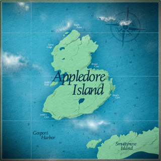 Seabirds and Scientists on Appledore Island • Ocean Buoy & Nature Sounds for Meditation, Writing & Focus Ambience